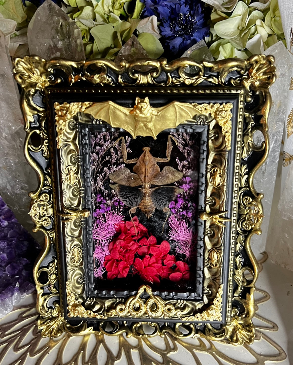 Mantis Oddity in handmade Frame