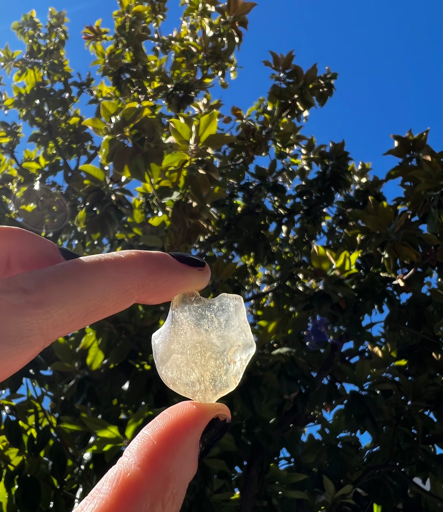 Libyan Desert Glass 27x23x10mm