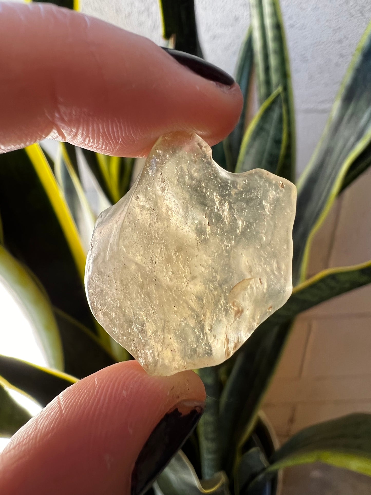 Libyan Desert Glass 27x23x10mm