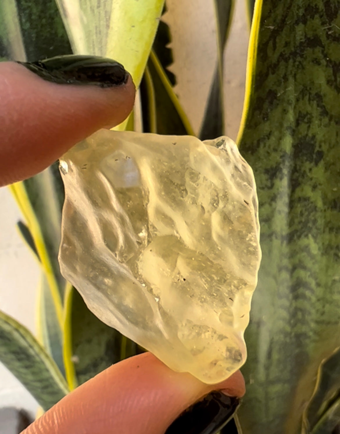 Libyan Desert Glass 30x26x19mm