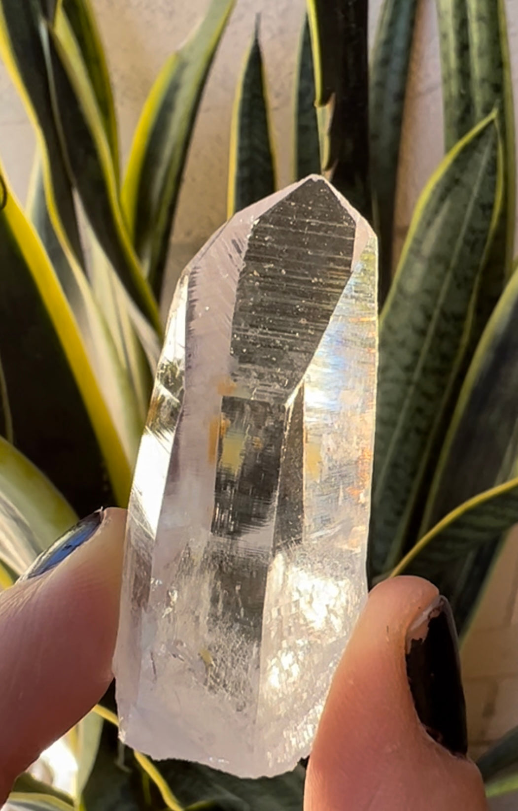 Lemurian Quartz 50x29mm