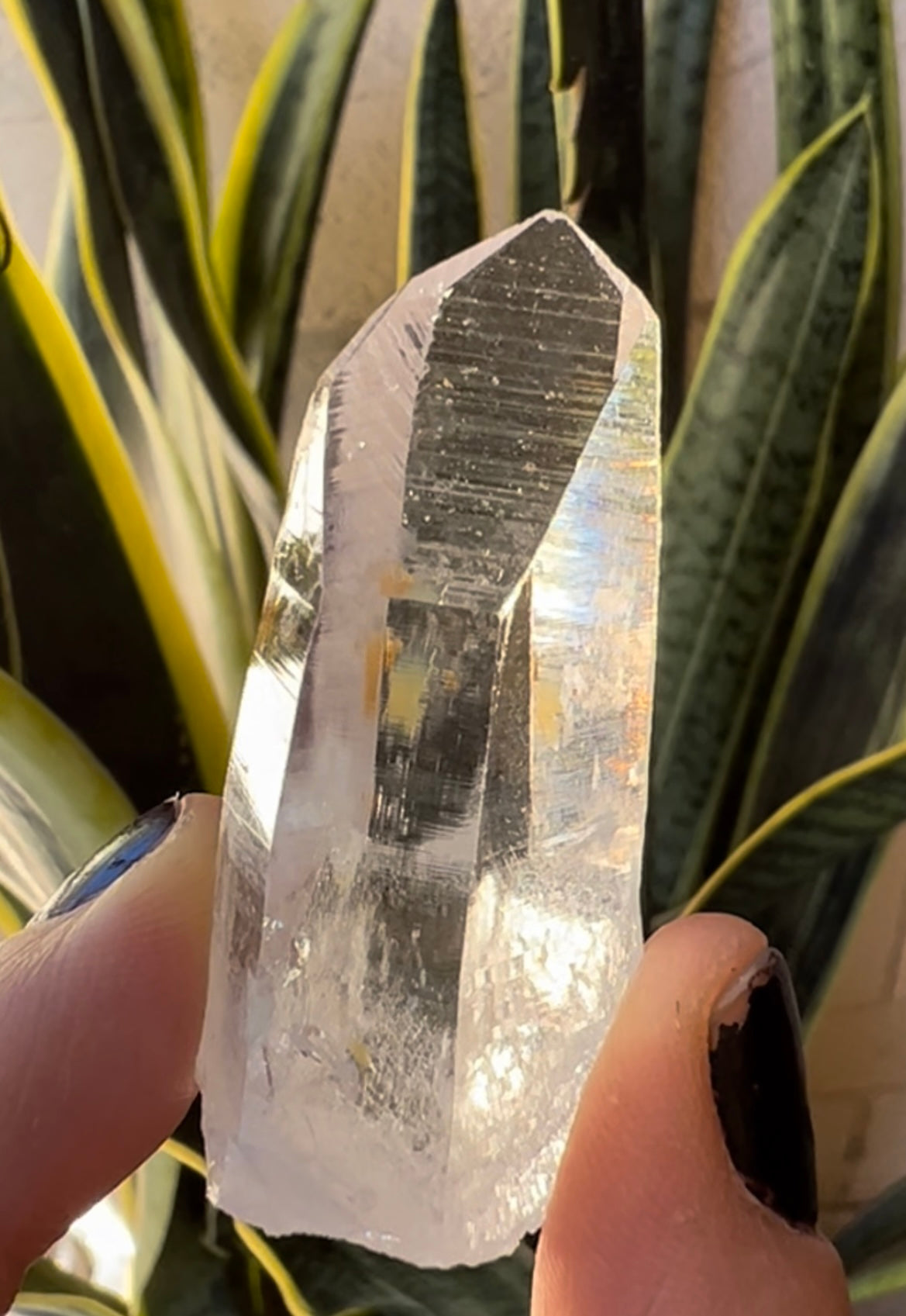 Lemurian Quartz 50x21mm