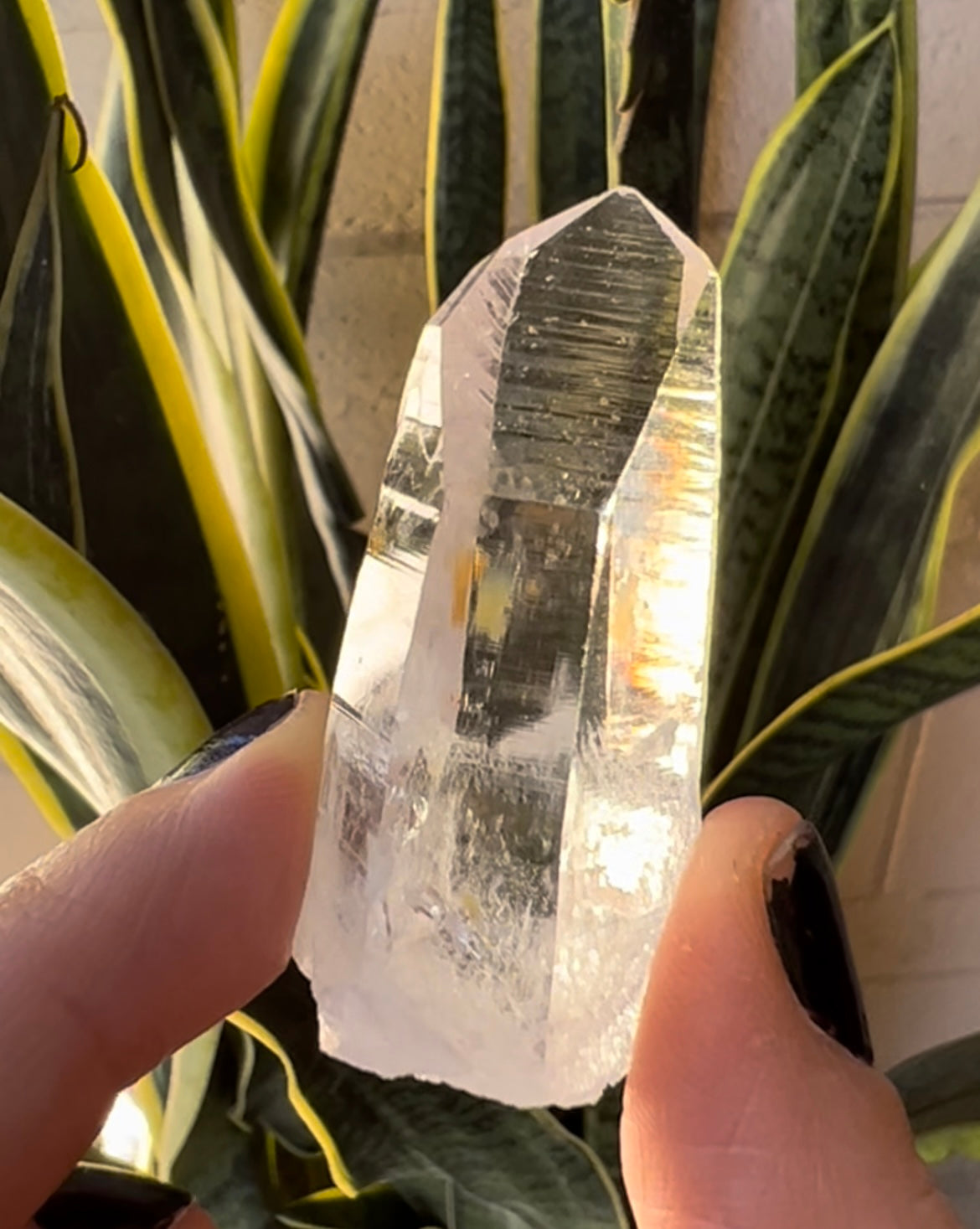 Lemurian Quartz 50x21mm