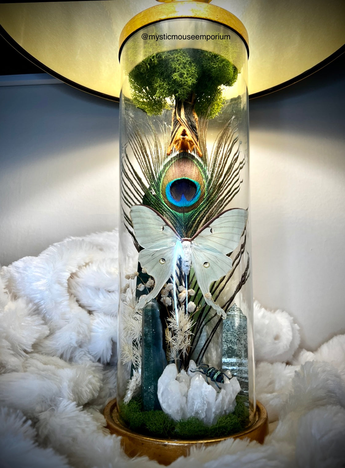 Abundance and Growth Lamp